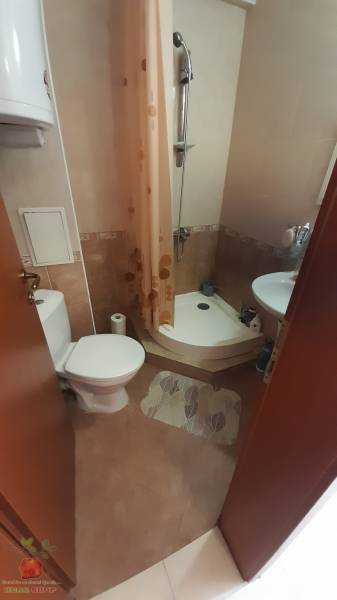 5848465.jpg