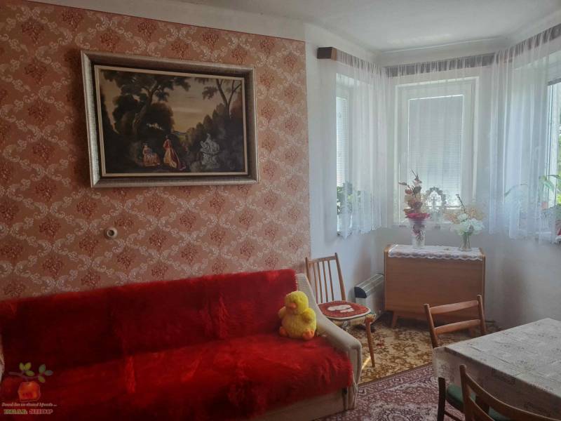 Retro obývacia izba v rodinnom dome s červenou sedačkou a kvetinovou dekoráciou.